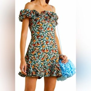 NWT Agua by Agua Bendita Cotton Jardín Monarca Azul Mini Dress L